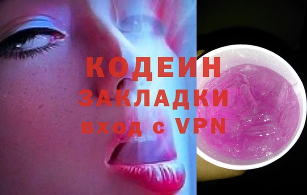 амф Инта