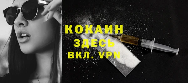 крисы Инсар
