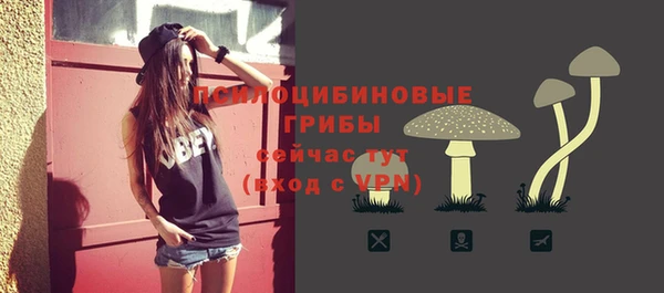 СК Иннополис